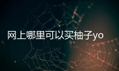 网上哪里可以买柚子yooz(柚子网上有卖的吗)