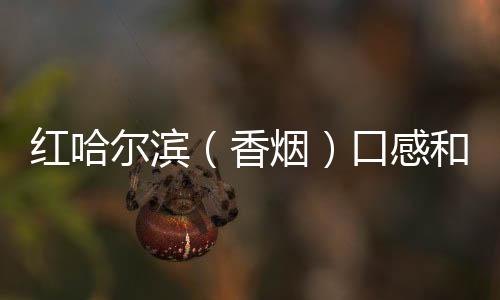 红哈尔滨（香烟）口感和批发价格怎么样？