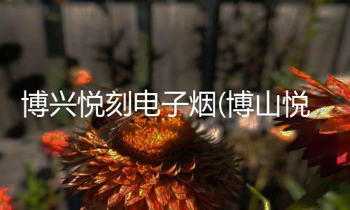 博兴悦刻电子烟(博山悦刻电子烟)
