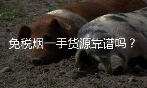 免税烟一手货源靠谱吗？揭秘行业内幕教你避开进货陷阱