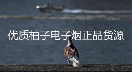 优质柚子电子烟正品货源供应商推荐，确保品质有保障
