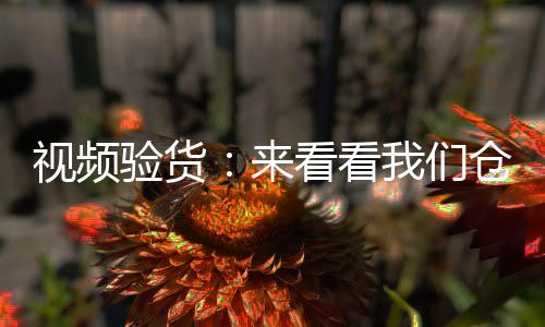 视频验货：来看看我们仓库的免税烟库存